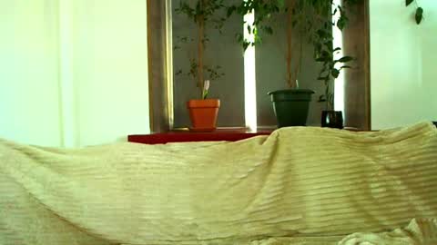 Snapshot of love_attation chatting on 02-24-25, 03:23 Cute face online show from 02-24-25, 03:23