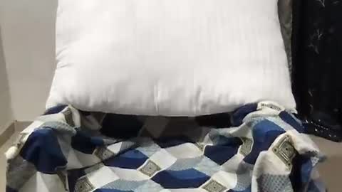 Riva online show from 03-27-26, 10:37