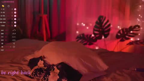 Nelly online show from 02-20-25, 08:36