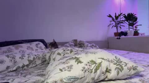 Snapshot of lovelorn_ chatting on 11-14-25, 06:34 Elsa online show from 11-14-25, 06:34