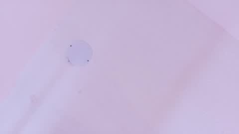 L O V E  online show from 03-11-26, 11:38