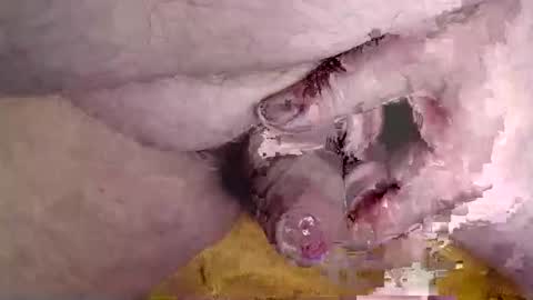 lover_troll online show from 02-16-26, 10:44