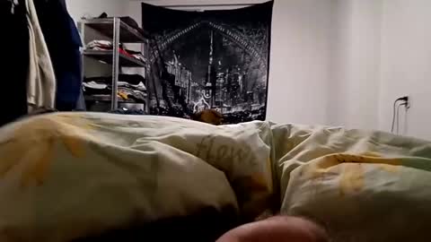 Snapshot of loveslick583698 chatting on 12-23-24, 05:28 Lovetlick online show from 12-23-24, 05:28