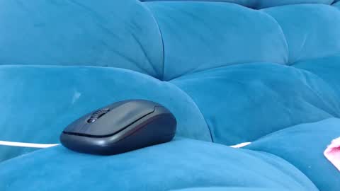 Snapshot of loveuniverse8 chatting on 12-27-24, 07:24 cutelucy 3 online show from 12-27-24, 07:24