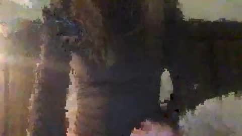 lozivelle online show from 11-12-25, 05:41