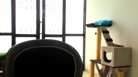 luara__01__lecat_1 online show from 11-24-25, 05:34