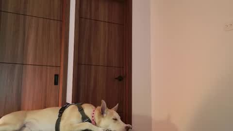 Luci y Fer online show from 09-09-25, 01:49