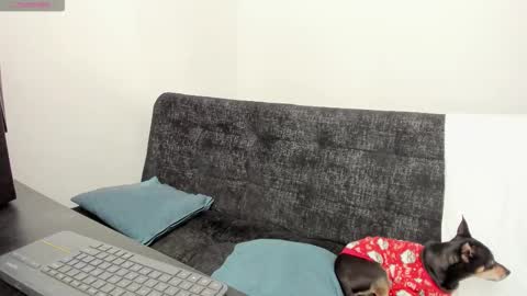 Snapshot of lucii_30 chatting on 12-04-25, 07:11 luci online show from 12-04-25, 07:11