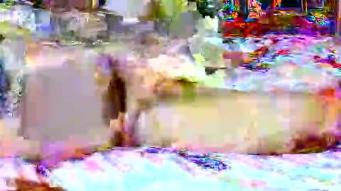 lucky134u online show from 04-20-26, 02:31