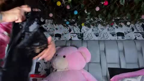Snapshot of lucyrosse_ chatting on 07-18-26, 11:25 Lucy online show from 07-18-26, 11:25