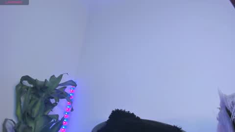 luciana online show from 11-07-25, 01:16