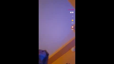 Snapshot of lucyvybes_and_gogert chatting on 11-18-25, 11:58 Lucy Vybes and Go-Gert online show from 11-18-25, 11:58