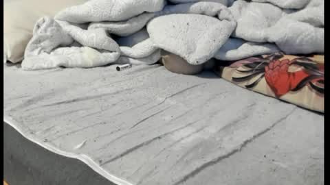 luffykun300 online show from 04-06-26, 12:52