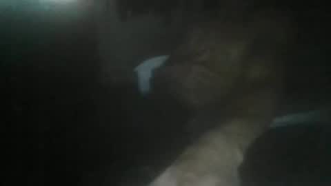 Snapshot of luizs23 chatting on 11-05-25, 05:07 luizs23 online show from 11-05-25, 05:07