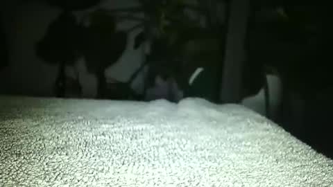 Luke online show from 04-17-26, 01:19