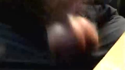 lukestarfckr online show from 10-17-25, 04:53