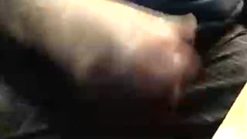 lukestarfckr online show from 11-23-25, 07:57