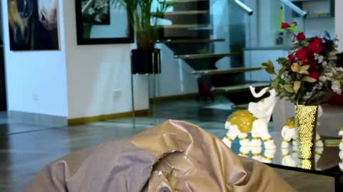 Snapshot of lukhass chatting on 01-20-25, 03:48 Lukhas f4f online show from 01-20-25, 03:48