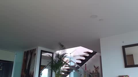 Snapshot of lukhass chatting on 02-12-25, 08:07 Lukhas f4f online show from 02-12-25, 08:07