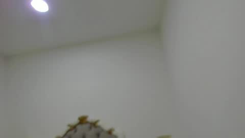 luna forever7 online show from 04-14-26, 12:22