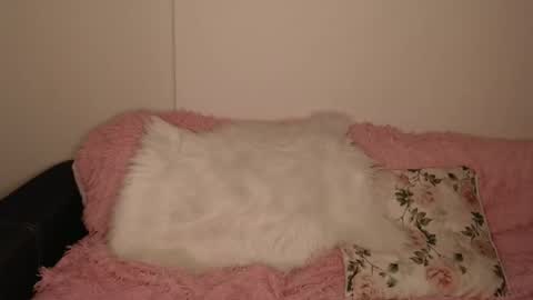 Snapshot of luna_moon77 chatting on 02-13-26, 06:15 Luna online show from 02-13-26, 06:15