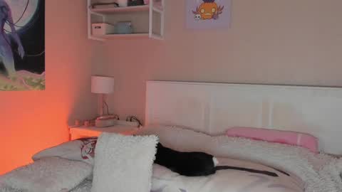 Sofia online show from 12-24-24, 08:11