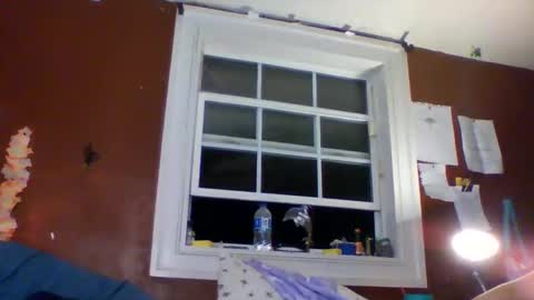 Snapshot of lunasecretadmirer chatting on 03-01-26, 05:31 lunasecretadmirer online show from 03-01-26, 05:31