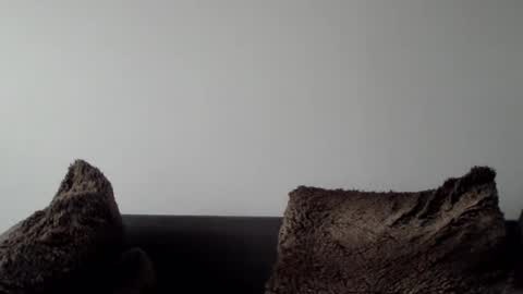 Lupine online show from 01-05-25, 10:32