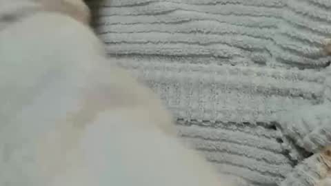 lustgardener67 online show from 12-09-24, 06:03