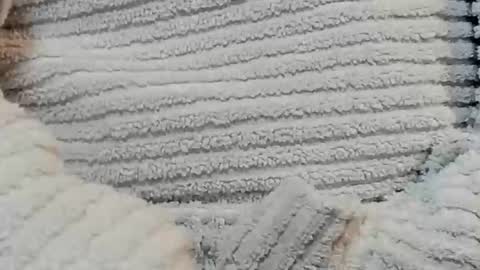 lustgardener67 online show from 12-15-24, 04:48