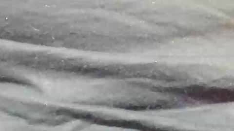 lustgardener67 online show from 01-09-25, 11:24