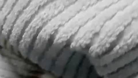 lustgardener67 online show from 01-19-25, 07:15