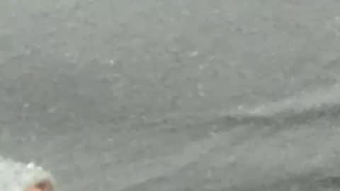 lustgardener67 online show from 02-04-25, 09:28