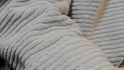 lustgardener67 online show from 02-09-25, 07:16