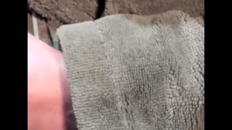 lustgardener67 online show from 03-04-25, 07:19