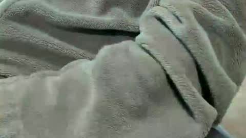 lustgardener67 online show from 10-07-25, 07:11