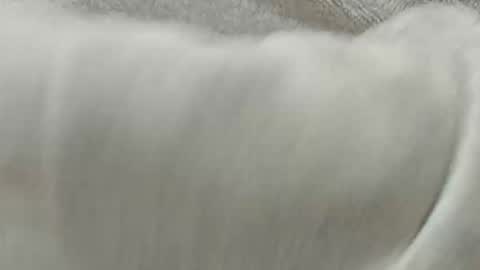 lustgardener67 online show from 11-08-25, 02:28