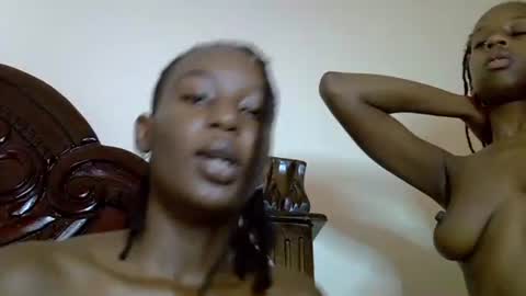 lutino_lovebirds online show from 04-19-26, 08:02