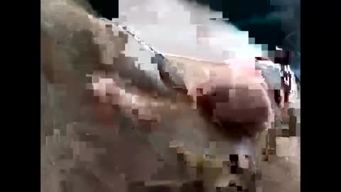 Snapshot of lutorres chatting on 11-22-25, 03:33 lutorres online show from 11-22-25, 03:33