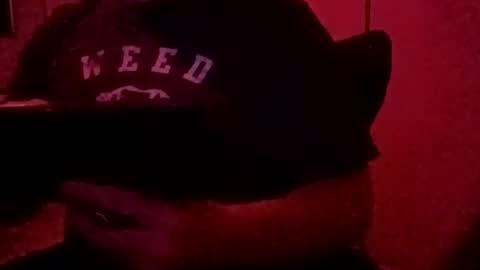 Snapshot of luv2toknstrok chatting on 11-03-25, 10:49 Luv2tokNstrok online show from 11-03-25, 10:49