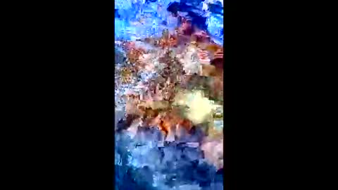 Snapshot of luvdezire chatting on 01-10-26, 08:54 Peter Jacksone online show from 01-10-26, 08:54