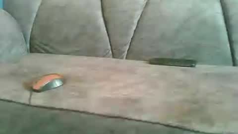 luxemadchen online show from 06-21-26, 08:28