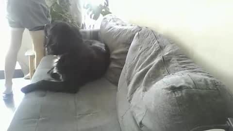 luzardol online show from 03-05-25, 02:56