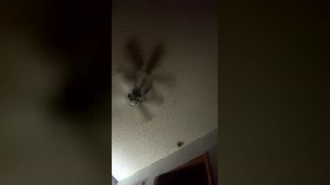 Snapshot of lvckthegoat chatting on 03-12-26, 08:09 lvckthegoat online show from 03-12-26, 08:09