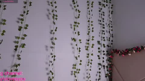 Snapshot of lyly_loveyou chatting on 09-12-25, 07:41 Lyly online show from 09-12-25, 07:41