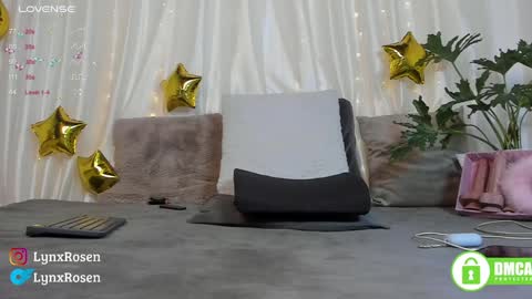 Snapshot of lynxrosen chatting on 01-17-25, 09:06 Lynx Rosen online show from 01-17-25, 09:06