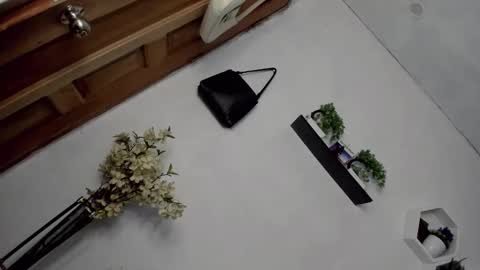 Janelovesu online show from 12-16-25, 07:24