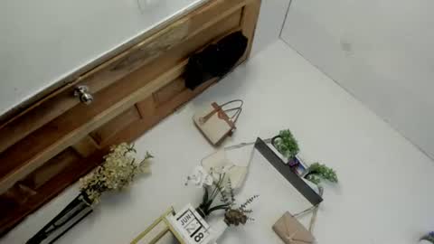 Snapshot of m1ssjanelana69 chatting on 06-28-26, 12:27 Janelovesu online show from 06-28-26, 12:27