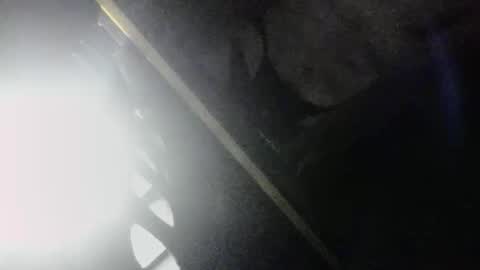 SLoppYxXPeeHoLeXxGspotxX online show from 04-03-26, 03:48