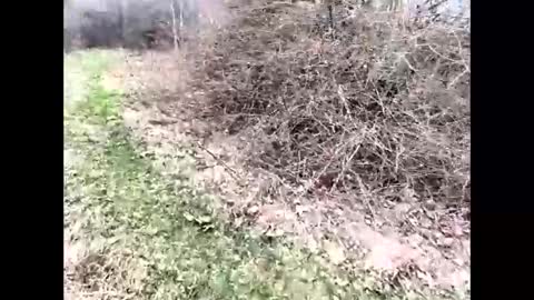 ma747047 online show from 04-06-26, 11:22